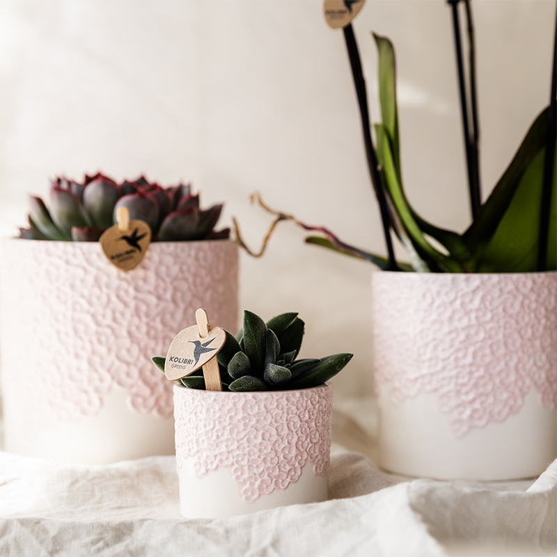 Kolibri Home | Bloom sierpot - Pink - Ø9cm