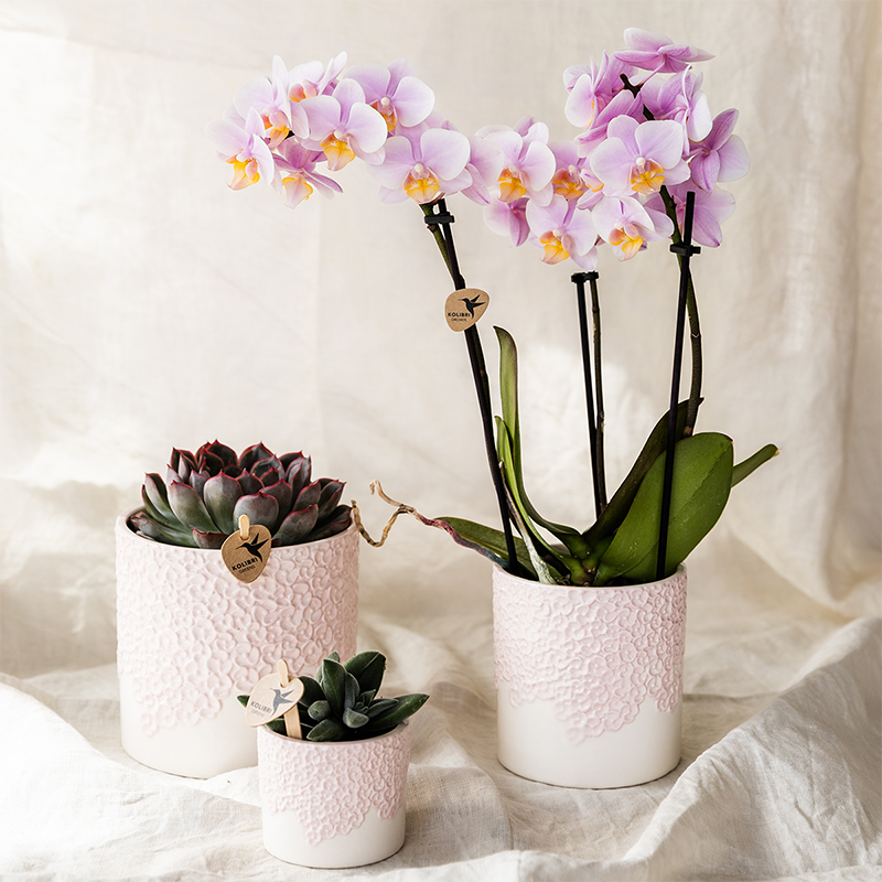 Kolibri Home | Bloom sierpot - Pink - Ø6cm