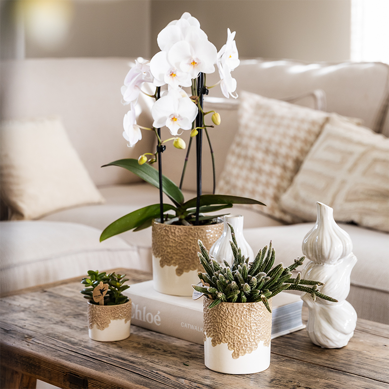 Kolibri Home | Bloom sierpot - Sand - Ø9cm