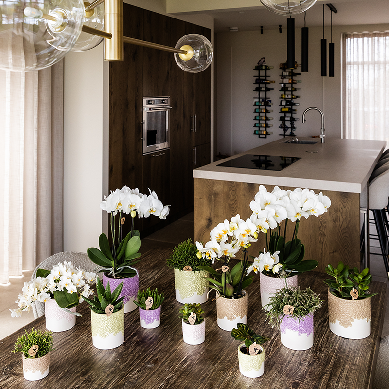Kolibri Home | Bloom sierpot - Sand - Ø6cm