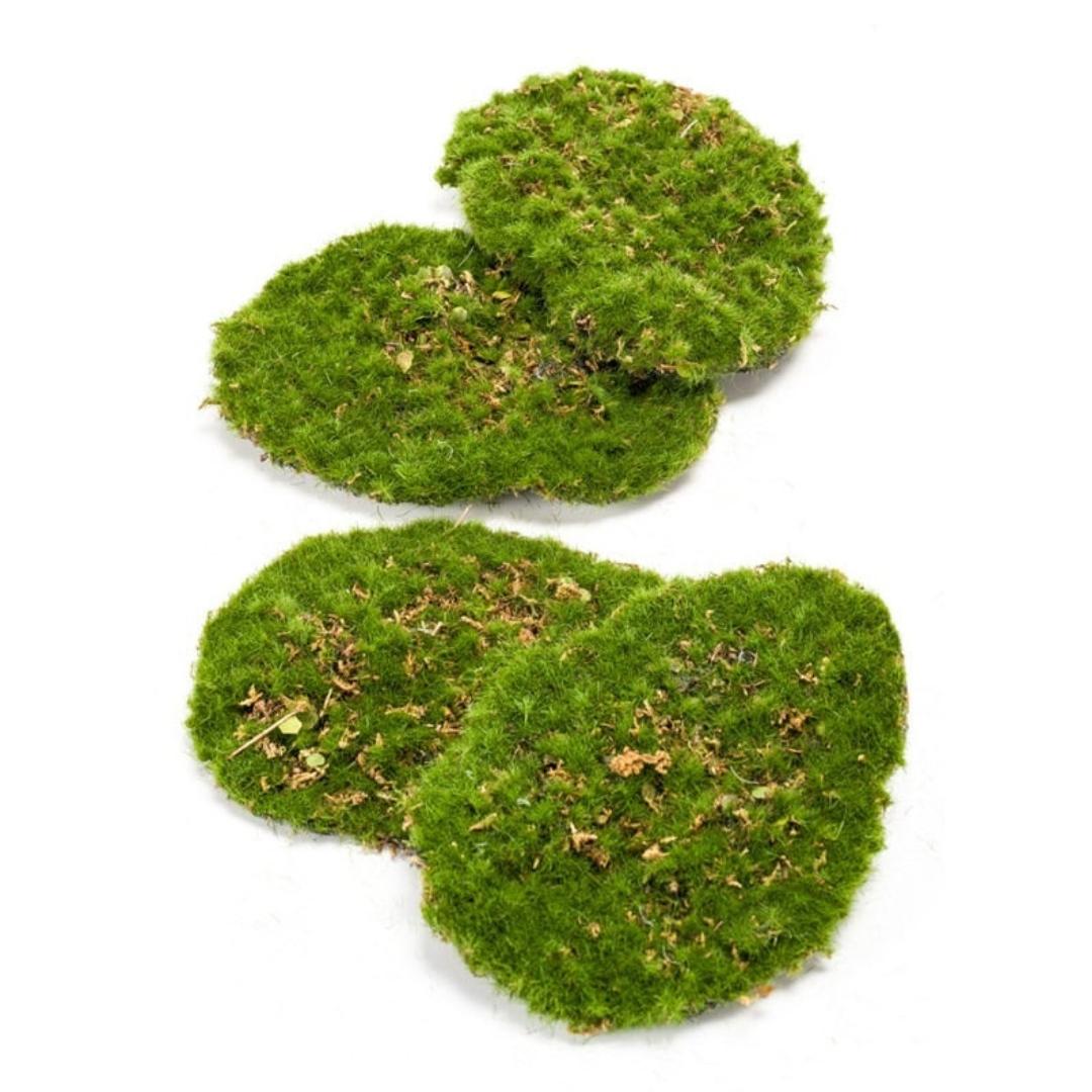 Mosplaat – Groen mos – Set van 4 – Kunstmos - ARTIFICIAL