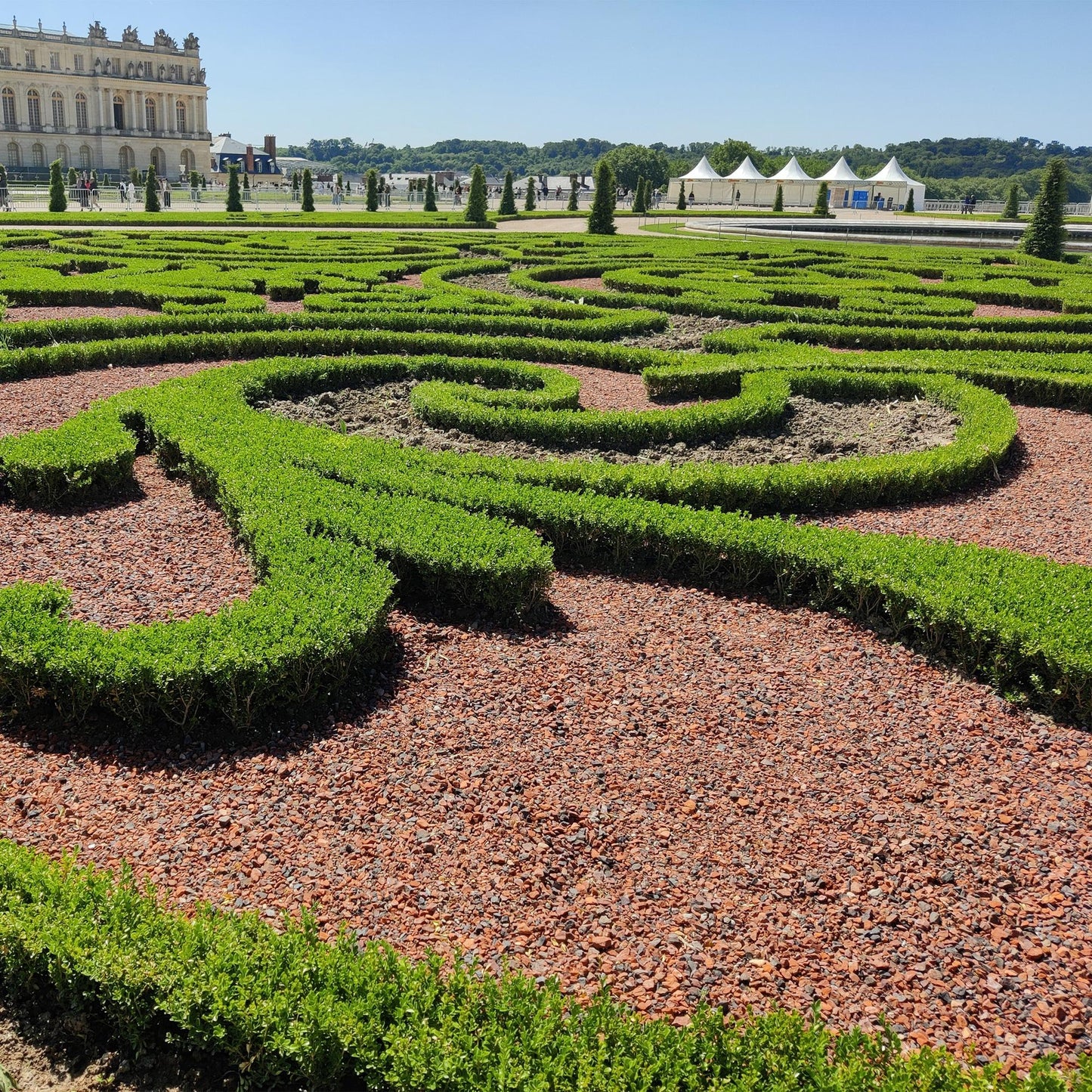 Green boutiQ - Buxus Haag - BetterBuxus Babylon Beauty - Resistant tegen de Buxus schimmel - 12 planten - 2 strekkende meter - pot 13cm hoogte 30-35