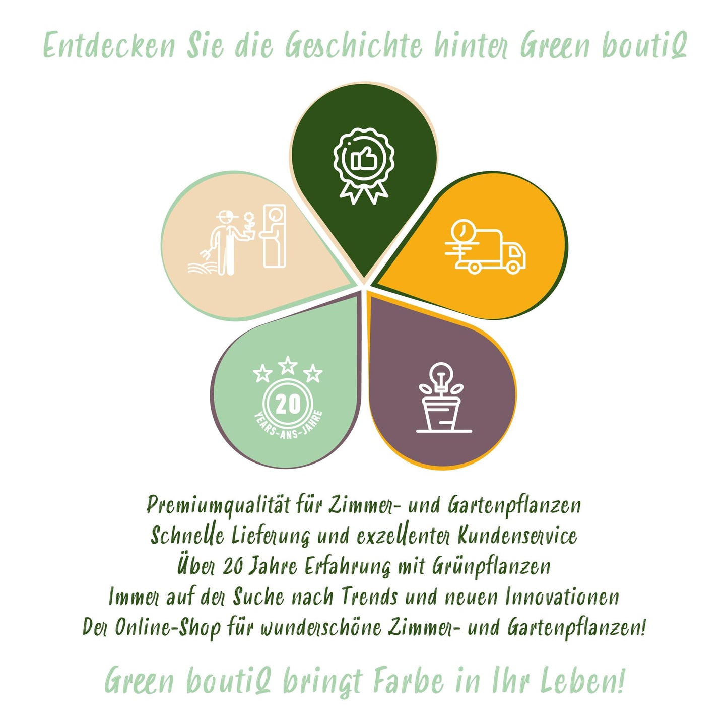 Green boutiQ - Kamerplant - Chlorophytum - Maranta - Calissia - Nephrolepsis - Mix van 4 - Huisdiervriendelijke Planten - Groen - 4 Planten - met Mand - Pot 12cm - Hoogte 25cm